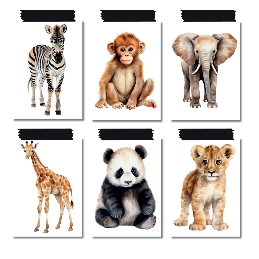 Verschillende dieren posters a5. Nu met actie: 2+1 gratis