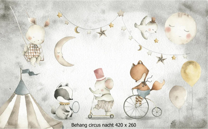 Wandvullend behang circus nacht
