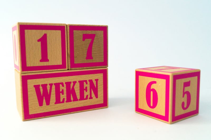 Mijlpaalblokken fuchsia roze