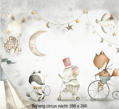 Wandvullend behang circus nacht