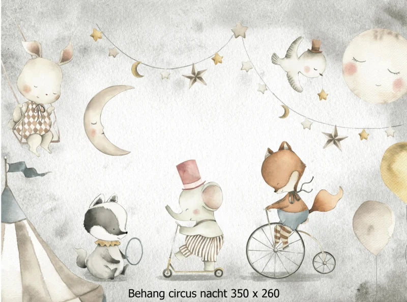 Wandvullend behang circus nacht