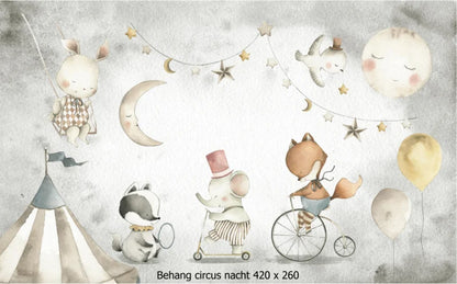 Wandvullend behang circus nacht