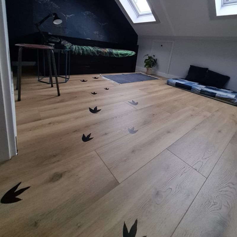 Vloer sticker voetafdrukken - pootafdrukken | dinosaurus - dino