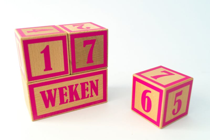 Mijlpaalblokken fuchsia roze